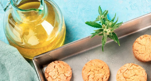 cbd oil for dogs