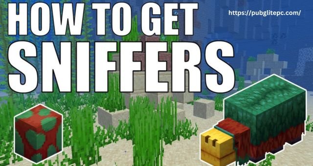 Sniffer Minecraft: A Detail Analysis