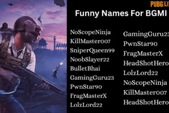 funny name for bgmi