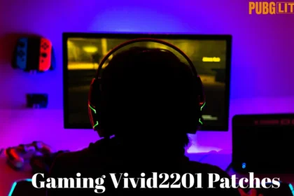 Gaming Vivid2201 Patches