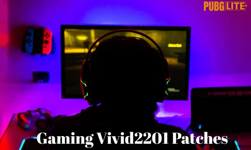 Gaming Vivid2201 Patches