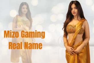 Mizo Gaming Real Name